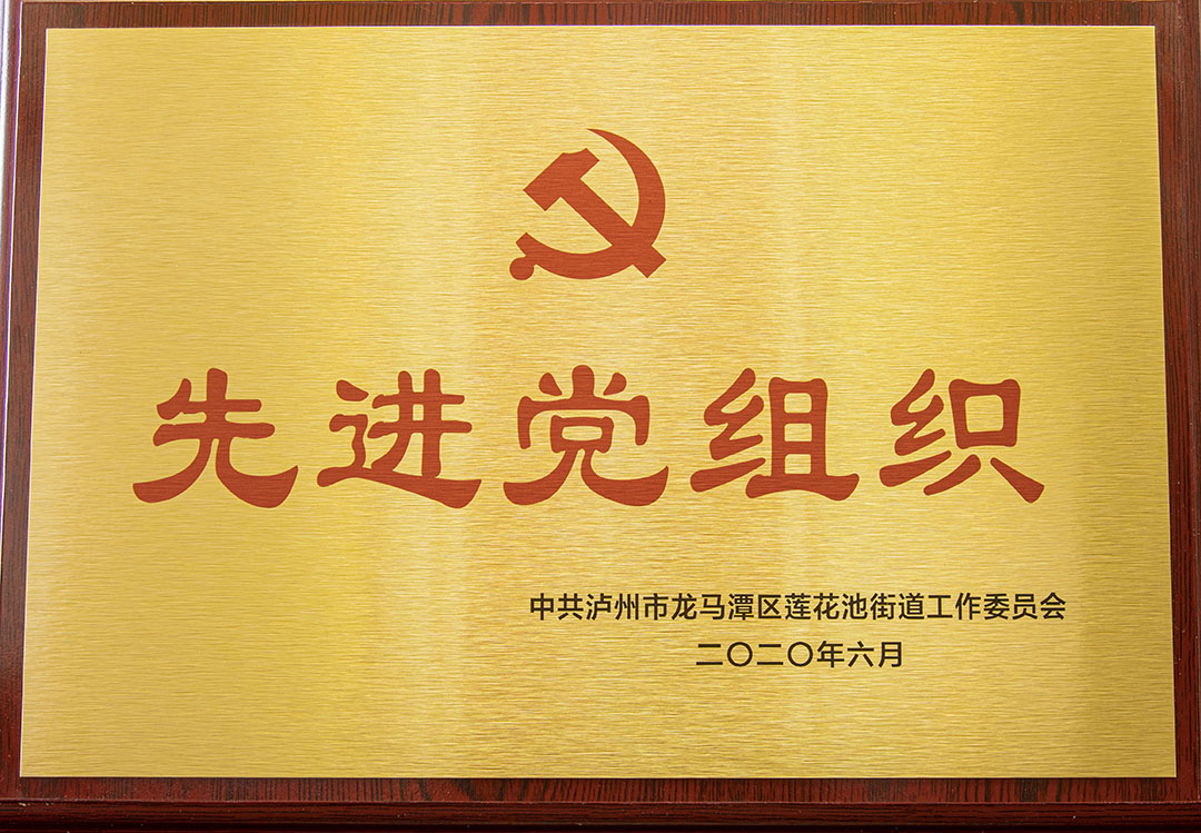 先進(jìn)黨組織